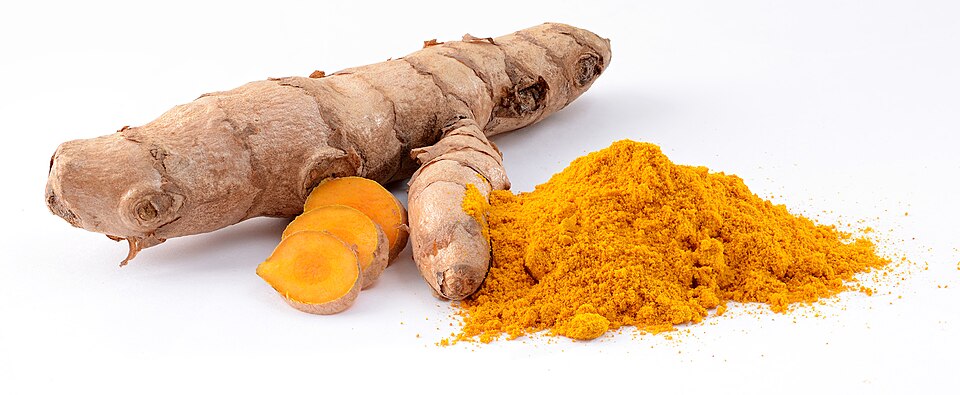 Curcuma longa